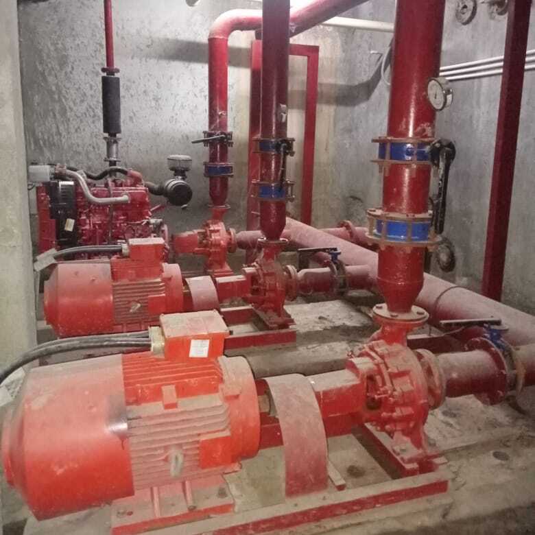 Commissioning photo 9 — diesel fire pump